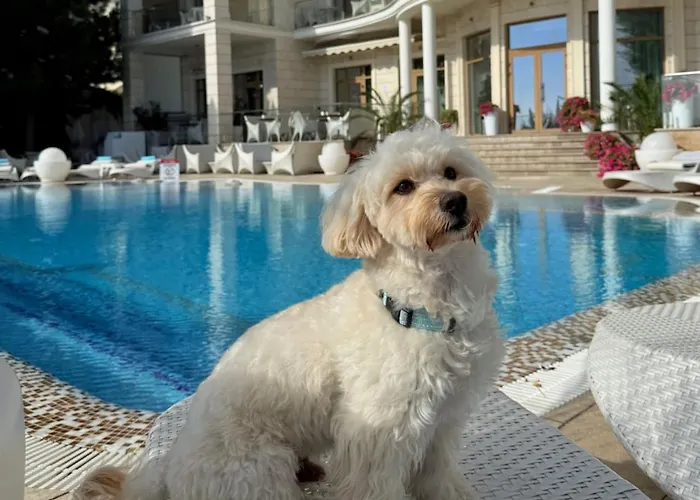 Отель Panorama De Luxe Одесса