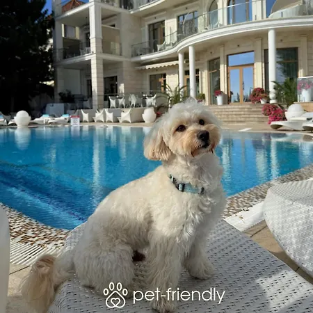 酒店 Panorama De Luxe 敖德萨